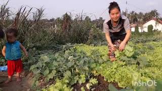Watering My Vegetables Ywg Dej Zaub
