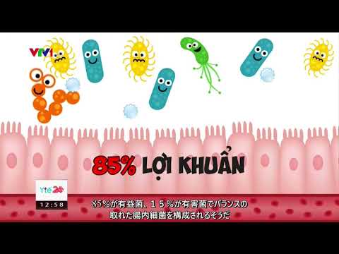 Bổ sung dinh dưỡng cần thiết cho người bệnh