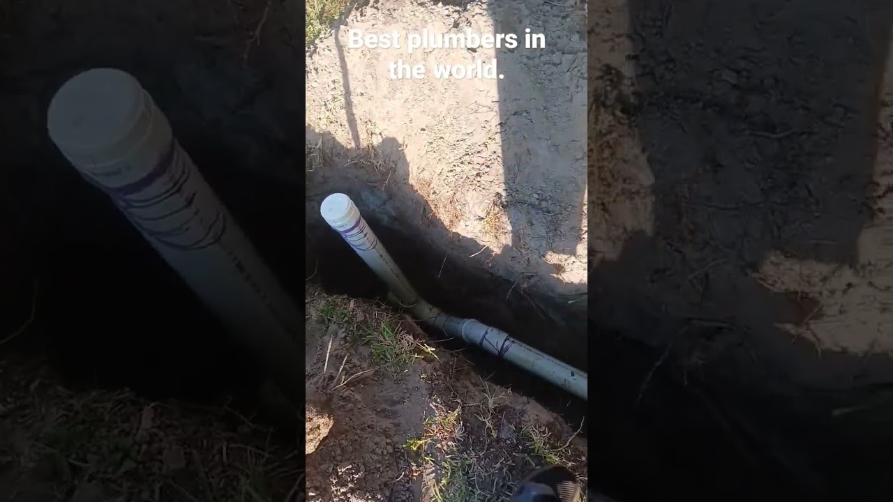 Best plumbers in the world.