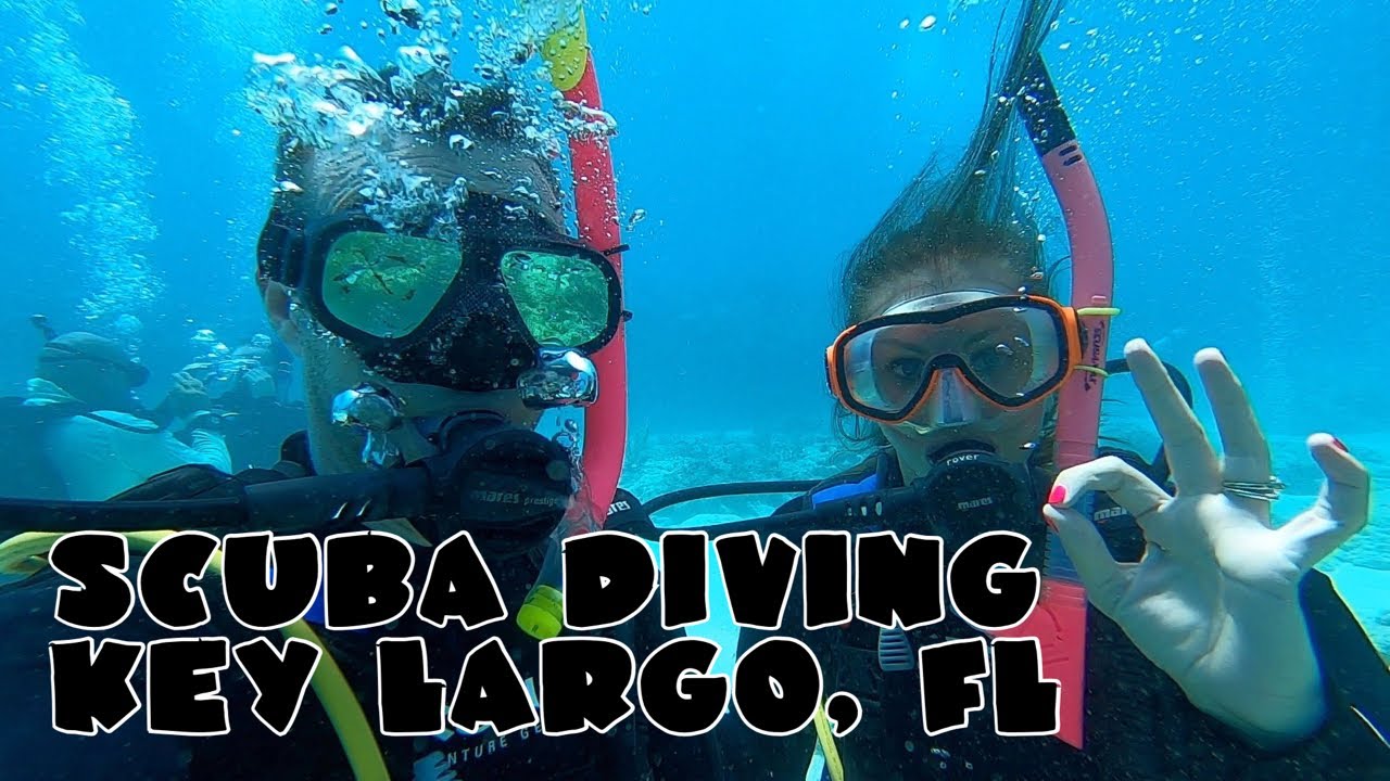 Key Largo Scuba Diving YouTube
