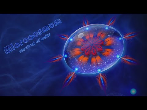 Microcosmum: Survival Of Cells #6 | Static - FULL WALKTHROUGH | Статик - ПОЛНОЕ ПРОХОЖДЕНИЕ