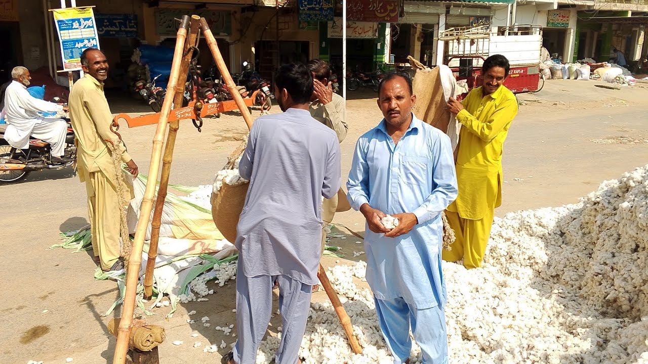 Galla Mandi fakirwali mein jarai ajnaas ki rate update 21 February##memes #funny #unfrez #comedy 