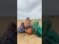 محاولة فريدة من شاب استخدام جرة فخارية لتبريد جمل في صحراء ثار