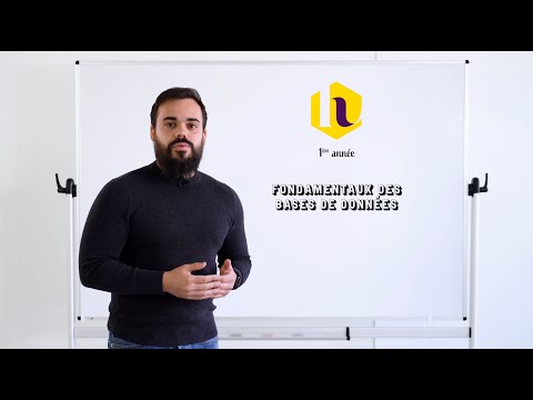 HEXACLASS : Programme des Thématiques Data et Cours de Power BI par Emerick DUVAL