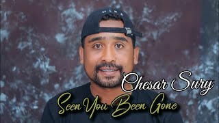 Lagu Slow Rock  Cover//Since You Been Gone_Chesar Surry MEDIUM FR30