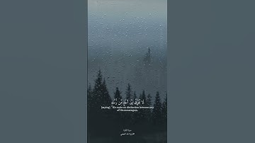 {آمن الرسول بما انزل اليه من ربه والمؤمنون} سورة البقرة القارئ (احمد العجمي )🕊