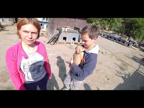 Мать МУЧАЛА СЫНА. Издевалась над ШКОЛЬНИКОМ а4 не давала ЩЕНКА. Мать ударила в ладоши и согласилась