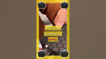 Нода DexNet #dexnet #dexnode #нода