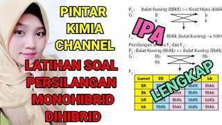 PEWARISAN SIFAT ( LATIHAN SOAL PERSILANGAN MONOHIBRID DAN DIHIBRID)