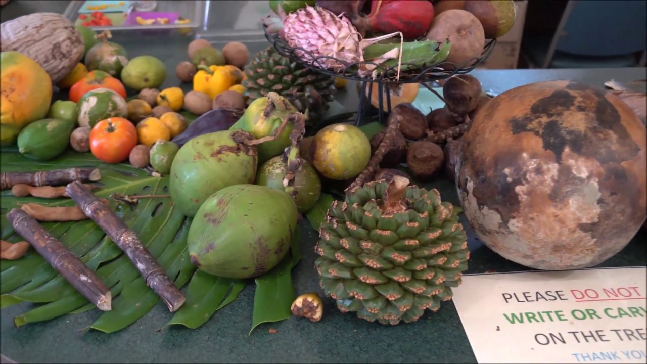 Fruit and Spice Park, Homestead, FL YouTube