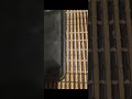 Miku Hatsune.mp4