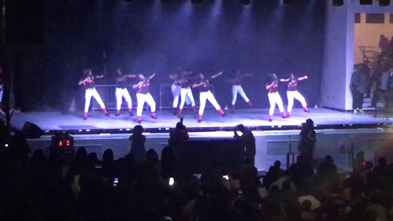 SCSU 2016 Homecoming Greek Step Show Winners (Delta Sigma Theta)