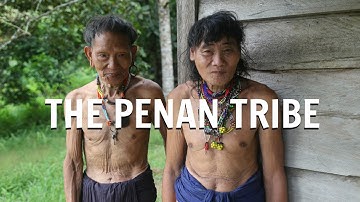 The Penan Tribe