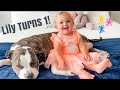 ** Lily’s First Birthday Celebrations! ** Personal Home Videos