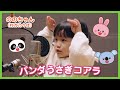 ののちゃん(村方乃々佳)『パンダうさぎコアラ』MV