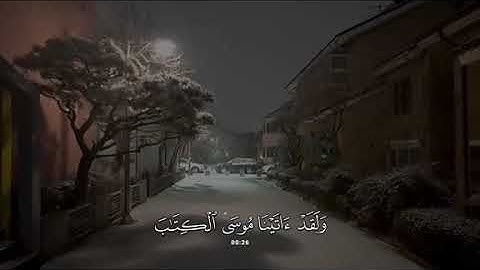 جزء 8 | تلاوة هادئة آيات من سورة القصص بصوت جداً جميل  - محمد بو حسون ✨ .