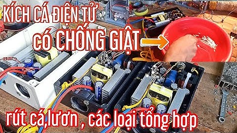 Kích cá điện tử chống giật | máy kích cá đi bộ và 1 vợt KXTT SÁU BẢY TÁM