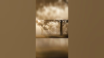 تلاوة عطرة سورة مريم #سورة_مريم #قران_كريم