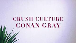 Conan Gray- Crush Culture Lyrics chords