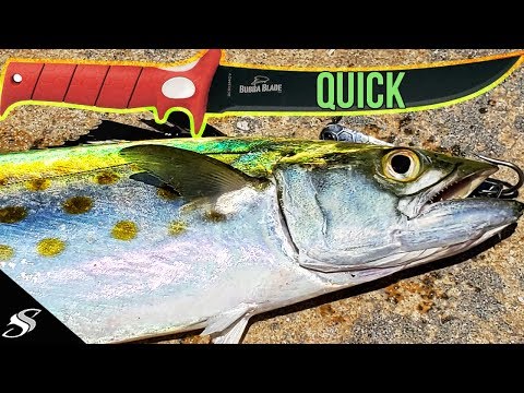 How to Clean a Spanish Mackerel in Under Two Minutes 😎