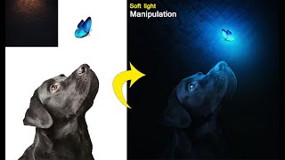 GLOWING DOG MANIPULATION  | PHOTOSHOP TUTORIAL