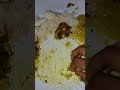 ছোট একটি সাদের নিমন্ত্রণ বাড়ি, খাবার ভিডিও। #food 😋😋