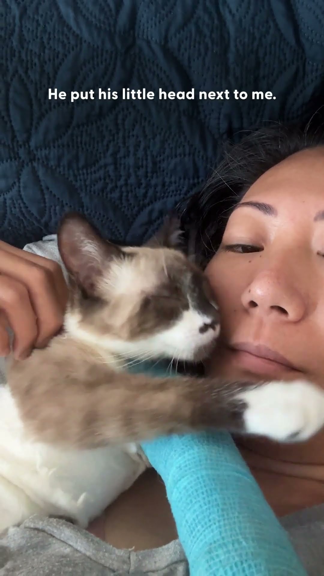 Cat Who Nobody Wanted Becomes The Best Foster Uncle | The Dodo