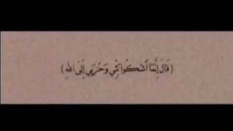إن المتقين في جنات وعيون _ قرآن كريم