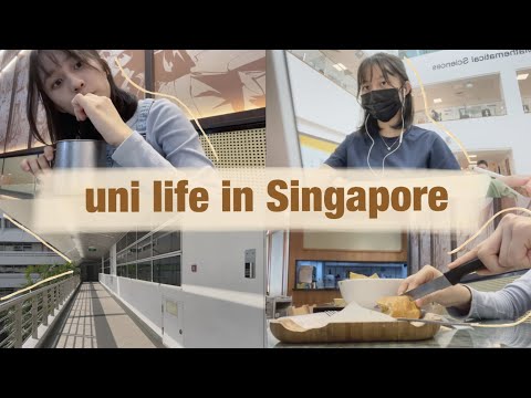 Uni Life in NTU Singapore | my laptop has broken down?, having lesson in THE HIVE! [uni vlog]