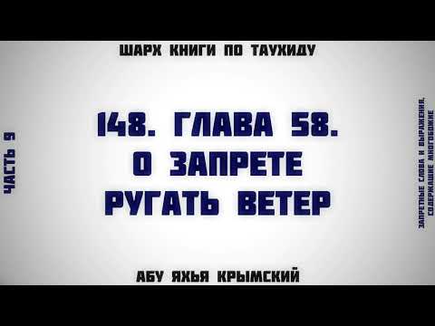 148. Таухид. Глава 58. О запрете ругать ветер || Абу Яхья