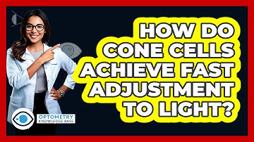 How Do Cone Cells Achieve Fast Adjustment To Light?