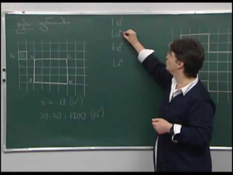 ფართობი