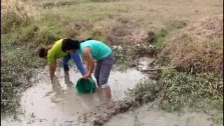 Beautiful Girl Fishing Cooking Fish In Bat Bang Cambodia