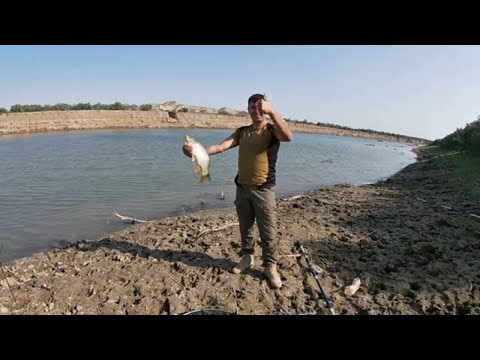 Video: Yakima çayında balıq tuta bilərsiniz?