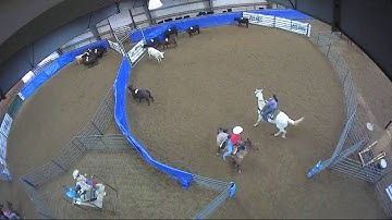 Big Sky Ranch Sorting Saddle Series #4 - #8 HC RANCH HAND (2 CAP SORTER) - Round #1 - Ride #26