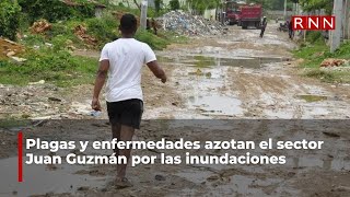 Plagas y enfermedades azotan el sector Juan Guzmán por las inundaciones