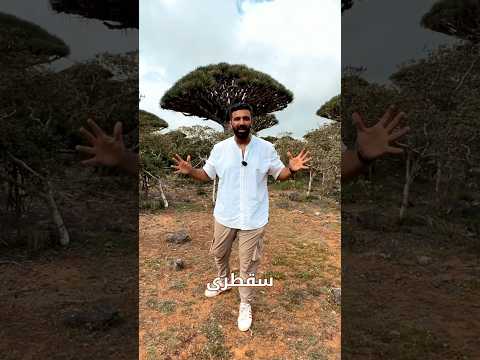 أجمل جزيرة في العالم عربية سقطرى اليمن محمد الهادي سقطرى اليمن سفر