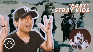 Performer Reacts to Stray Kids 