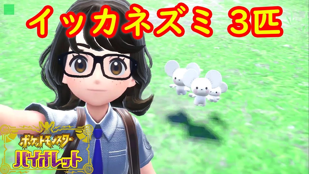 イッカネズミ 3匹家族】簡単入手方法 攻略【ポケモン スカーレット