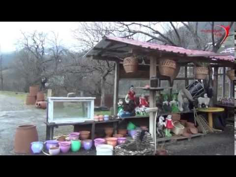 შროშას მოვაჭრეების პროტესტი