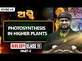 Photosynthesis in higher Plants (Part 2) Class 11 Biology🔥| +2 1st Year Botany in Odia | Ranjan Sir