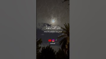 سورة هود | الآية 115 - 119 للقارئ          #اسلام_صبحي #القرآن_الكريم #quran #fyp #viral #foryou
