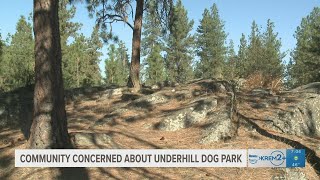 Some neighbors raise concerns about proposal for dog park at Underhill Park in Spokane