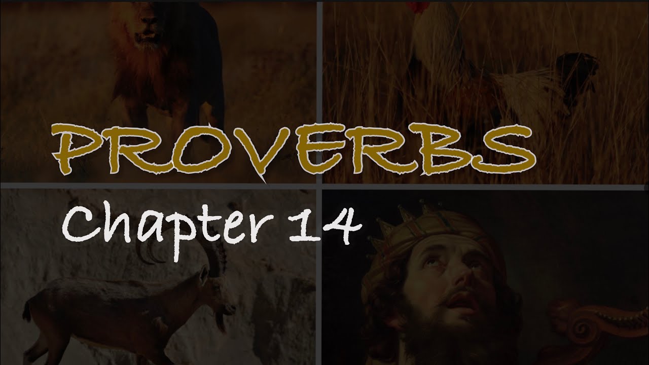 Proverbs Chapter 14 | 잠언 14장 - YouTube