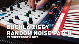 Buchla Ziggy Desktop Synth Patch at Superbooth 2026