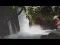 טבע ישראל מפל מים הבניאס водопад Баниас Израиль природа waterfall banias israel nature