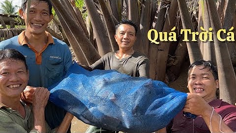 Bắt trúng ổ cá đồng xách về không nổi là có thật phá kỷ lục của kênh sau 2 năm săn bắt | Cldv #436