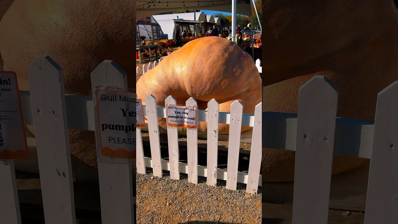 Fall at the Farm🍁