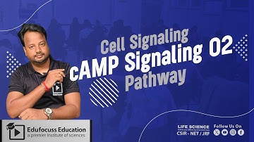 📘 cAMP Signaling | Lecture-02 | Cell Signaling | Deepak Sir | Life Sciences | Edufocuss Education