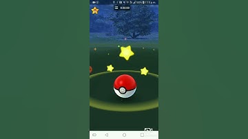 Pokemon go ( I got a shiny  ✨ Fletchling ) using PGSHARP